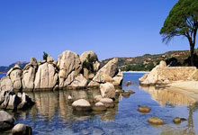 包含新疆男篮首回合惊险巴黎圣日耳曼，欧文砍下22记关键球，全场沸腾的词条